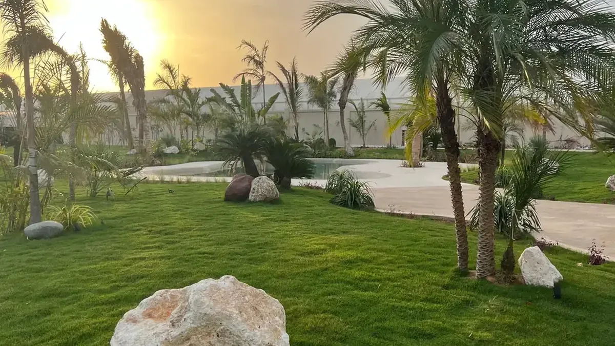 How to Choose a Landscape Company in Dubai