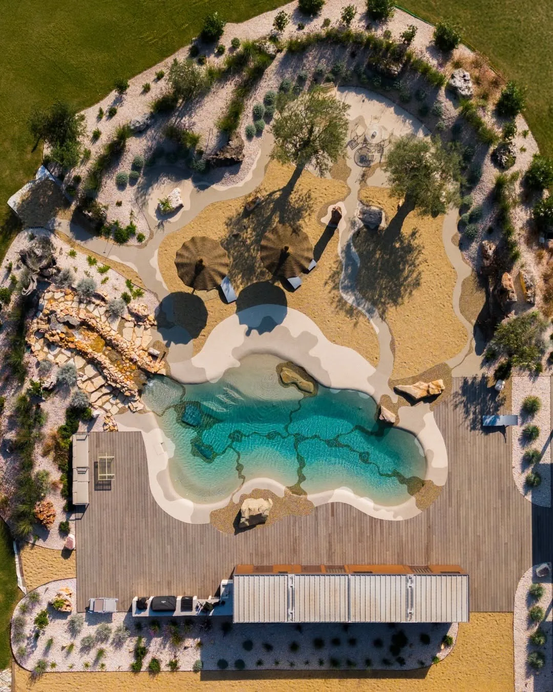 Aerial view of a freeform beach-style pool with a sandy shoreline and shade trees